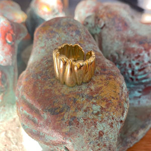 Anillos